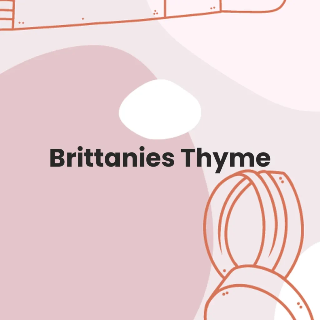 Brittanies Thyme testa en animales?