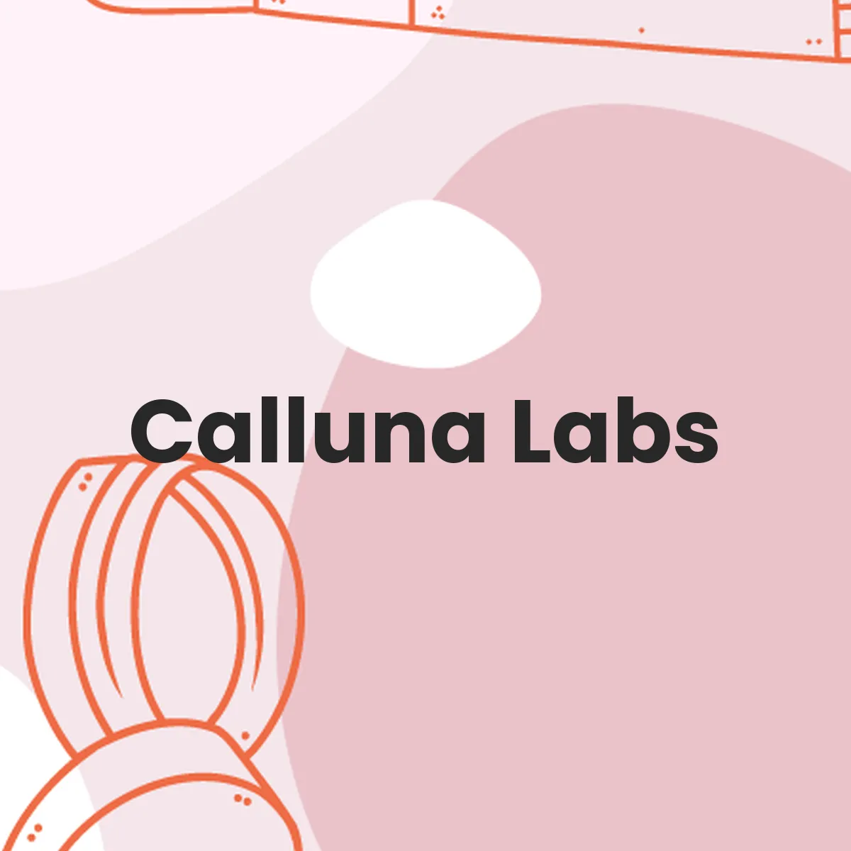 NYX Professional Makeup testa en animales?