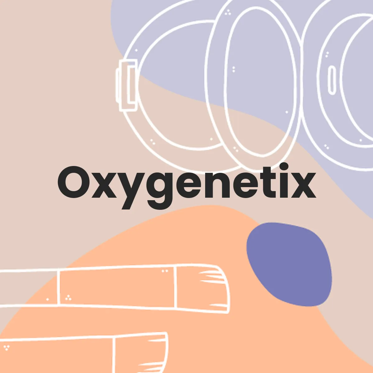 NYX Professional Makeup testa en animales?