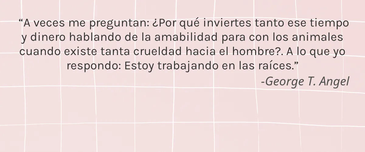 3rd Rock Essentials 4 Cruelty Free 3rd Rock Essentials cita-George T. Angel