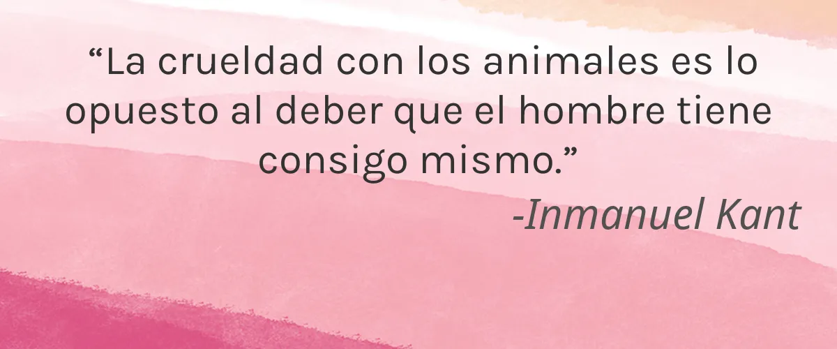 A2V 4 Cruelty Free A2V cita-Inmanuel Kant