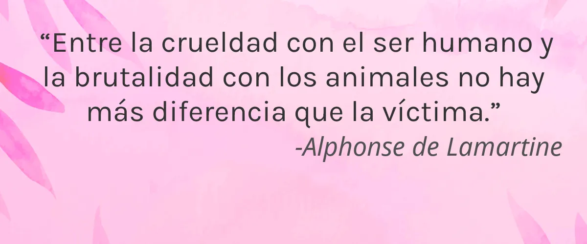 AB Skincare 4 Cruelty Free AB Skincare cita-Alphonse de Lamartine