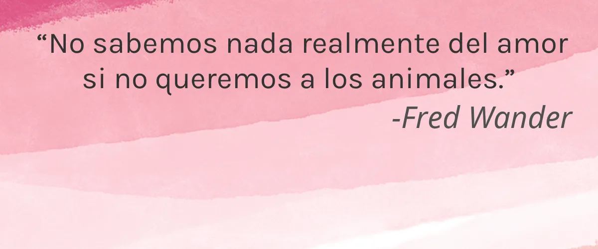 Abicì 4 Cruelty Free Abici cita-Fred Wander