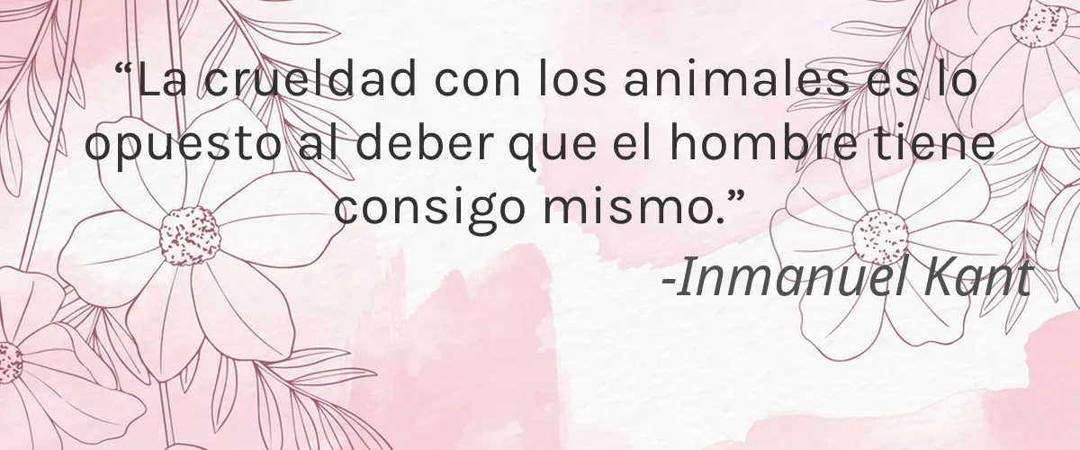 Abra Therapeutics 4 Cruelty Free Abra Therapeutics cita-Inmanuel Kant