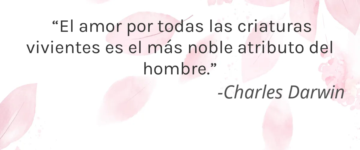 Acherontia 4 Cruelty Free Acherontia cita-Charles Darwin