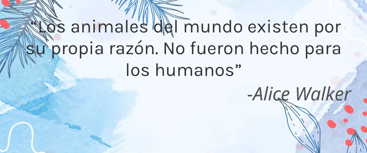 Acqua Di Parma 4 Cruelty Free Acqua Di Parma cita-Alice Walker