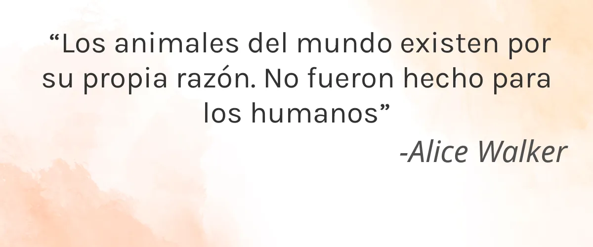 ACURE 4 Cruelty Free ACURE cita-Alice Walker