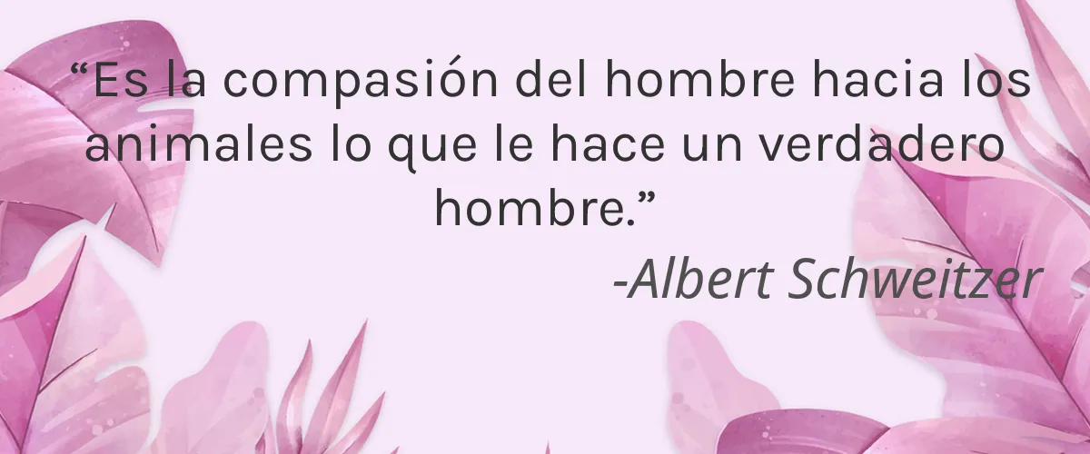 AIIR Professional 5 Cruelty Free AIIR Professional cita-Albert Schweitzer