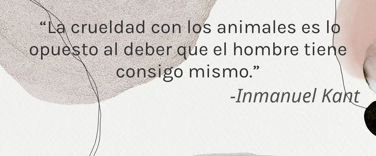 Cruelty Free Aim HI Every Day cita-Inmanuel Kant