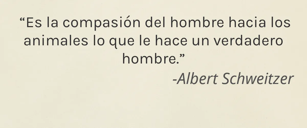 Air Scense 4 Cruelty Free Air Scense cita-Albert Schweitzer