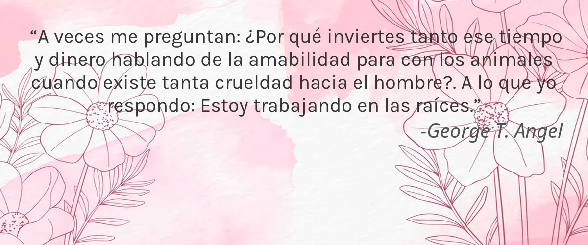 Cruelty Free AJ Pure cita-George T. Angel