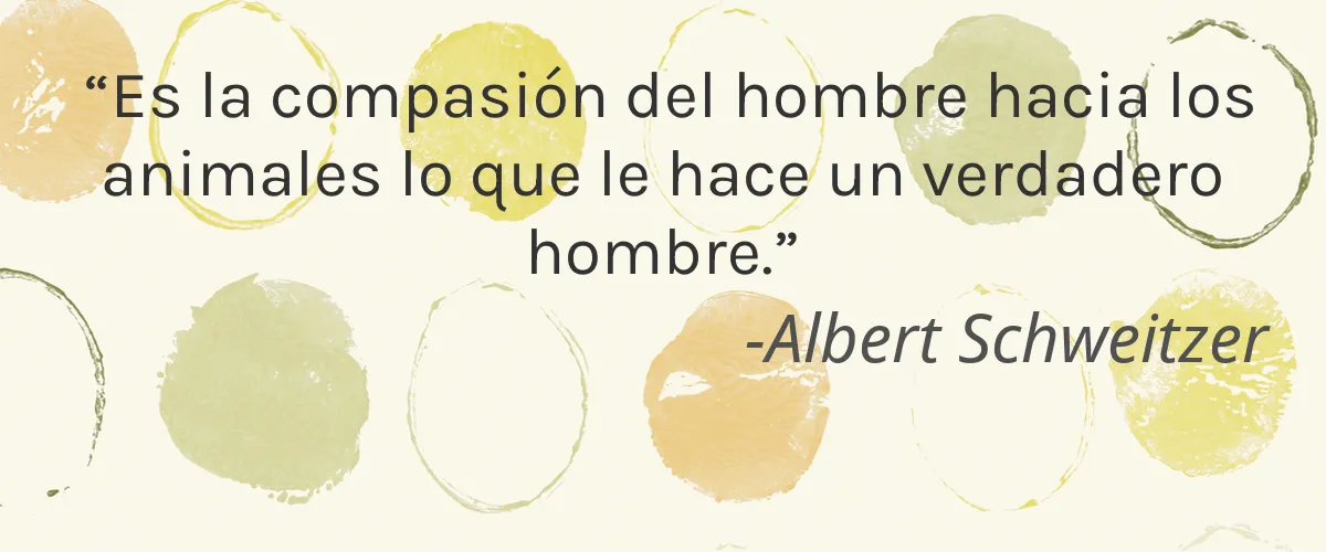 Albaad 4 Cruelty Free Albaad cita-Albert Schweitzer