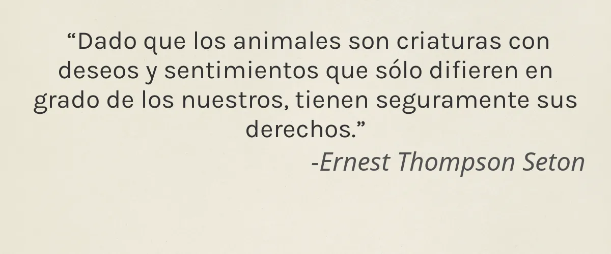 Alexis Vogel 4 Cruelty Free Alexis Vogel cita-Ernest Thompson Seton