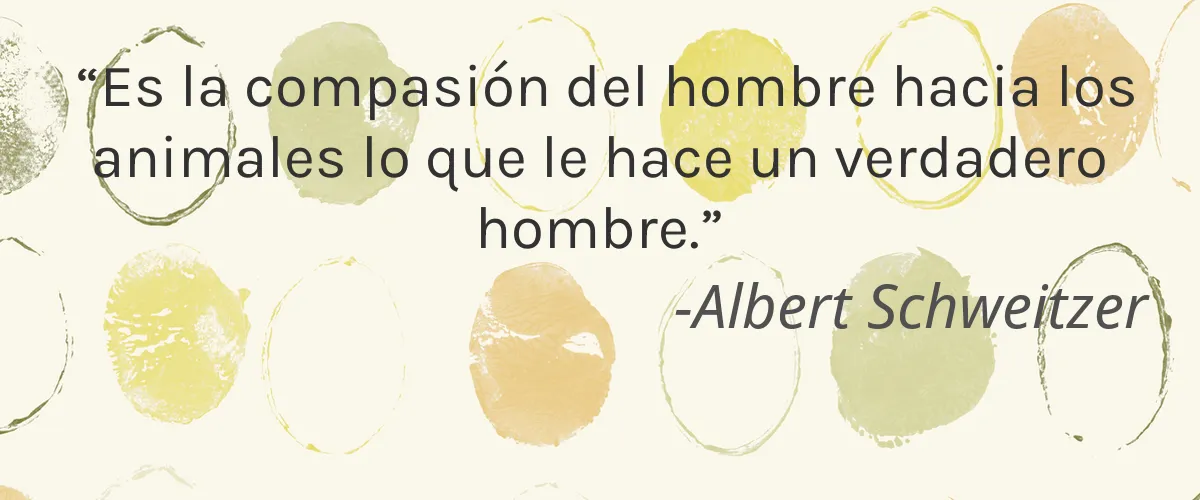 Alighten Natural Skin Care 4 Cruelty Free Alighten Natural Skin Care cita-Albert Schweitzer