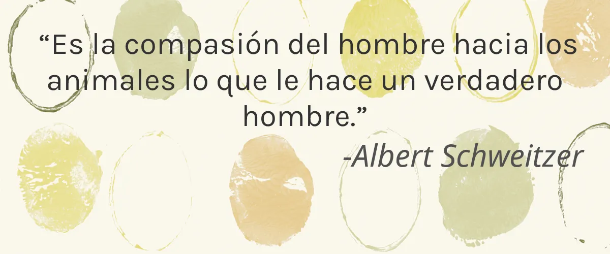 AllMyFy 4 Cruelty Free AllMyFy cita-Albert Schweitzer