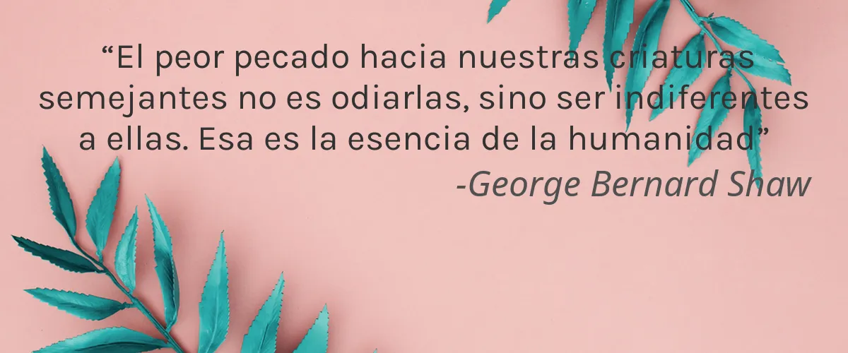 AMAPOLA BIOCOSMETICS 4 Cruelty Free AMAPOLA BIOCOSMETICS cita-George Bernard Shaw