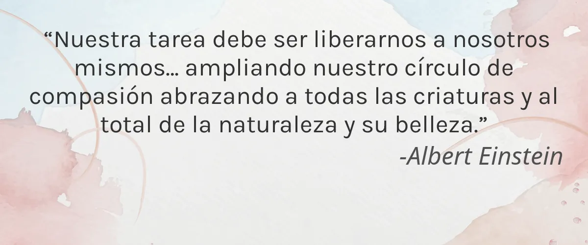 ananné AG 4 cita cruelty free ananne ag