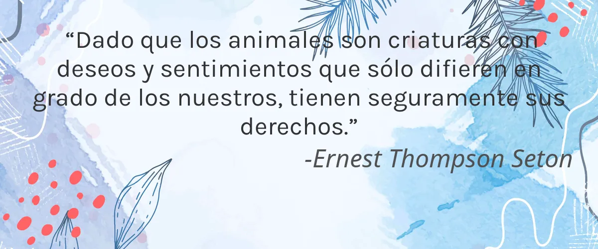 Antonin .B 4 Cruelty Free Antonin .B cita-Ernest Thompson Seton
