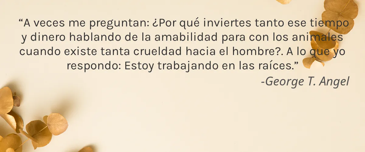 Cruelty Free Anumati Naturals cita-George T. Angel
