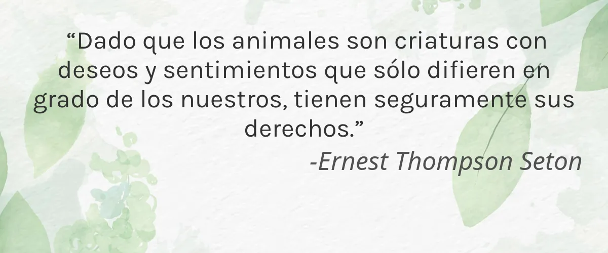Ao Skincare 4 Cruelty Free Ao Skincare cita-Ernest Thompson Seton