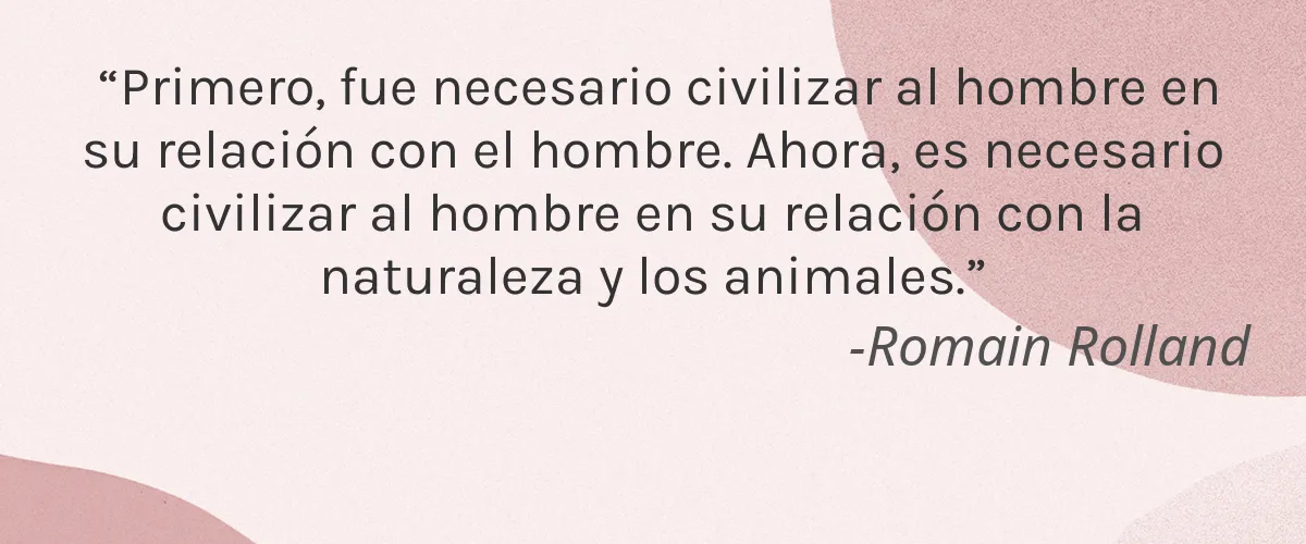 Cruelty Free Arata cita-Romain Rolland