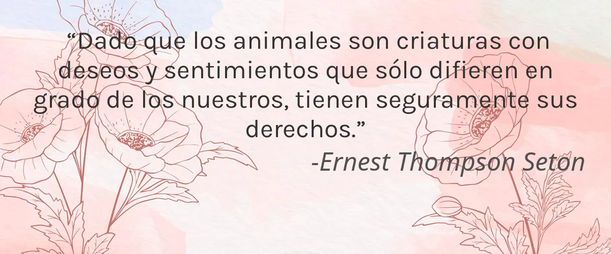 AROLAB Organic 4 Cruelty Free AROLAB Organic cita-Ernest Thompson Seton