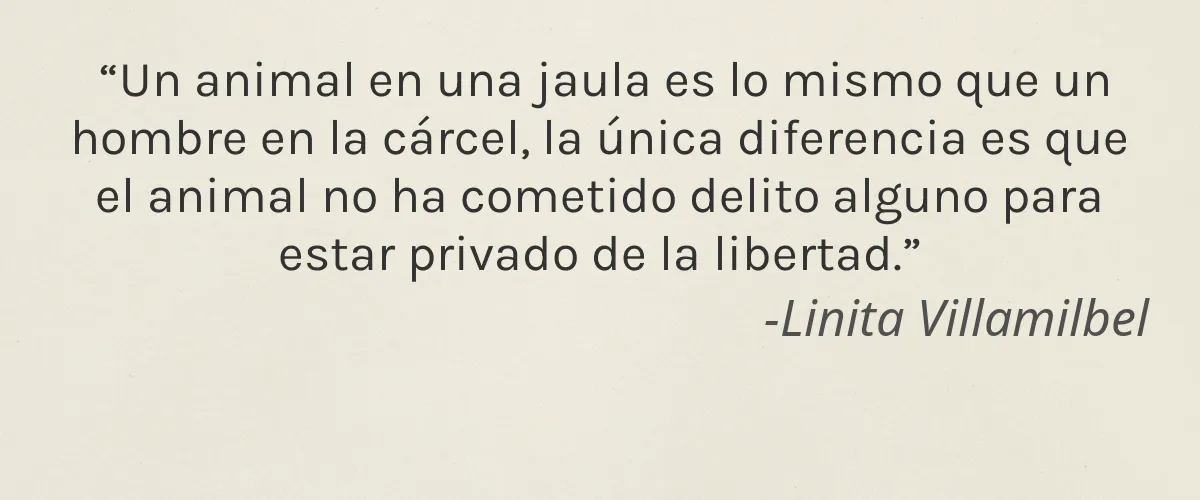 Avasiare Professional Skincare and Cosmetics 4 Cruelty Free Avasiare Professional Skincare and Cosmetics cita-Linita Villamilbel