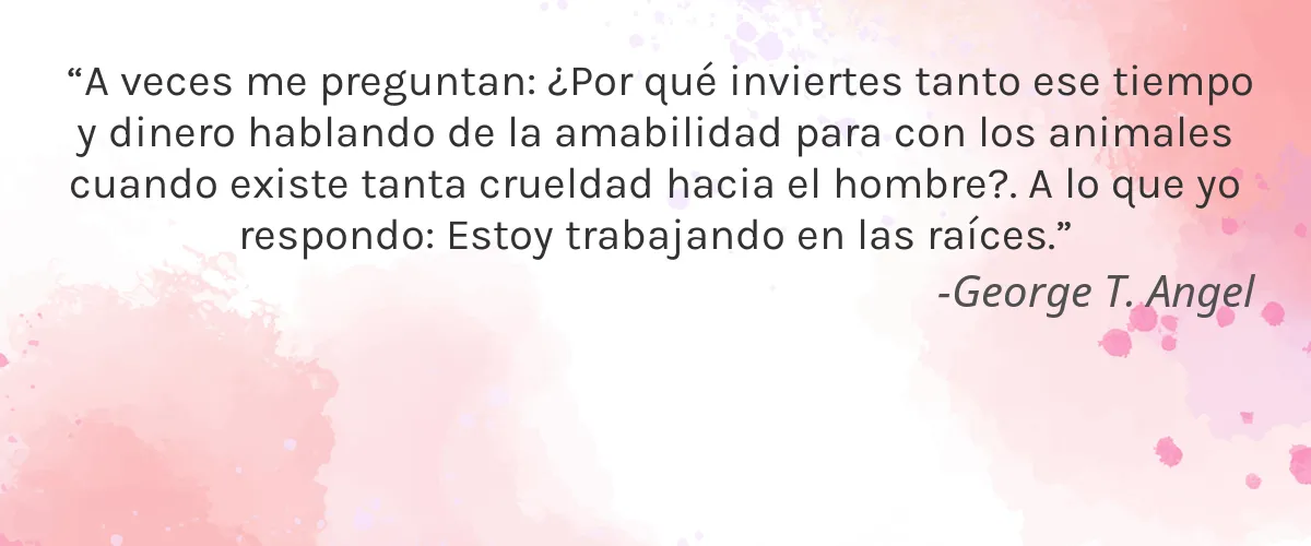 Cruelty Free Averr Aglow cita-George T. Angel