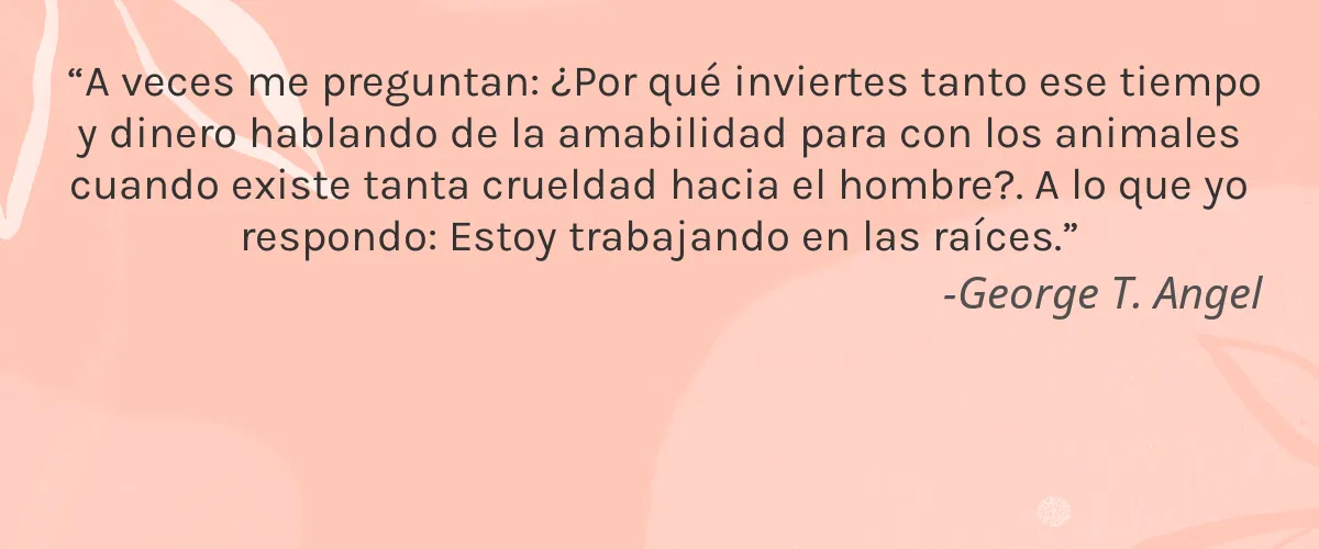 AYU.Co 4 Cruelty Free AYU.Co cita-George T. Angel
