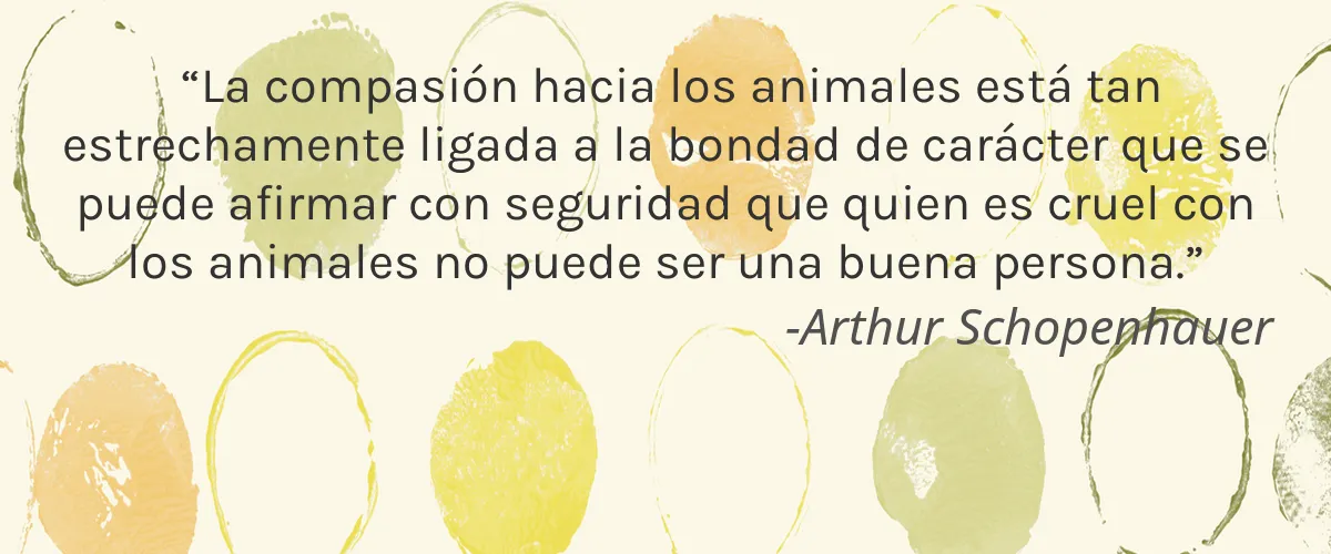 AZK 4 Cruelty Free AZK cita-Arthur Schopenhauer