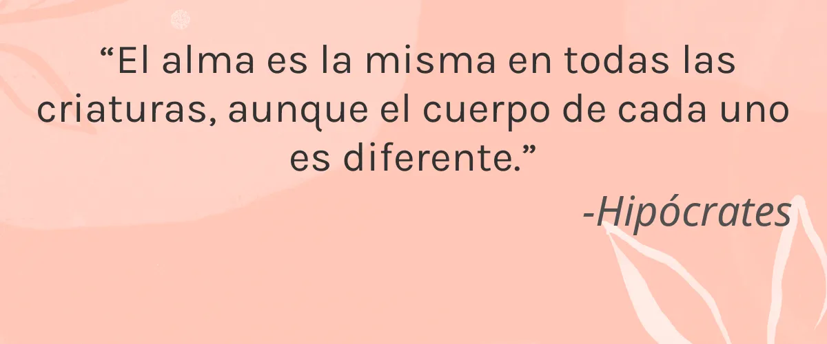 Baby Bear Shop 4 Cruelty Free Baby Bear Shop cita-Hipócrates