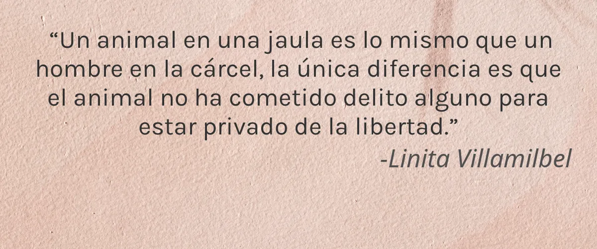 Baby & Mom Retail 5 Cruelty Free Baby & Mom Retail cita-Linita Villamilbel
