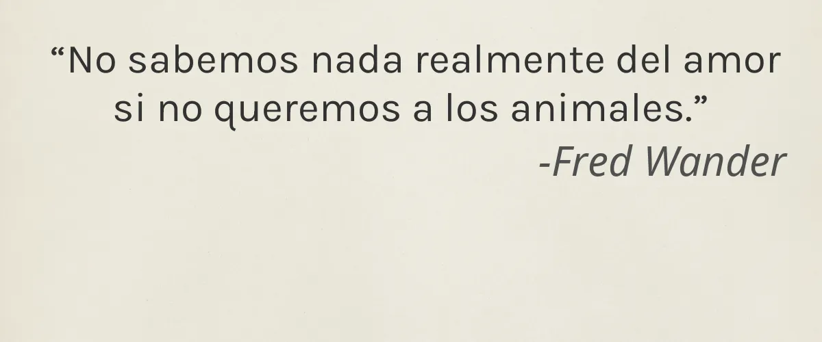 BABYONICA 4 Cruelty Free BABYONICA cita-Fred Wander