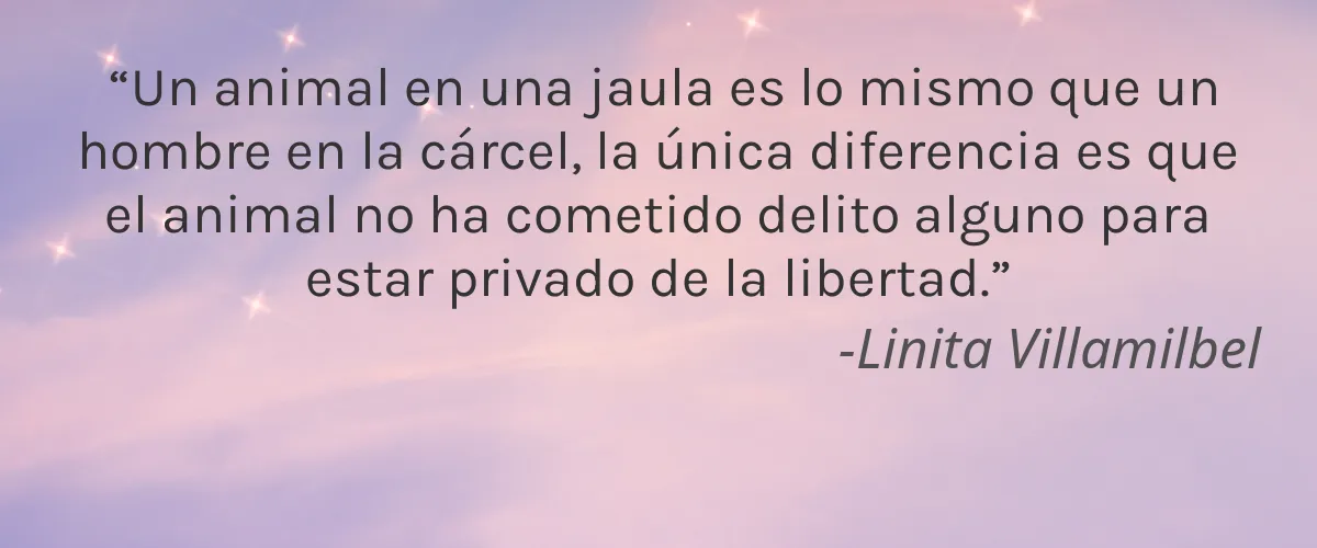 Bambini Furtuna 4 Cruelty Free Bambini Furtuna cita-Linita Villamilbel