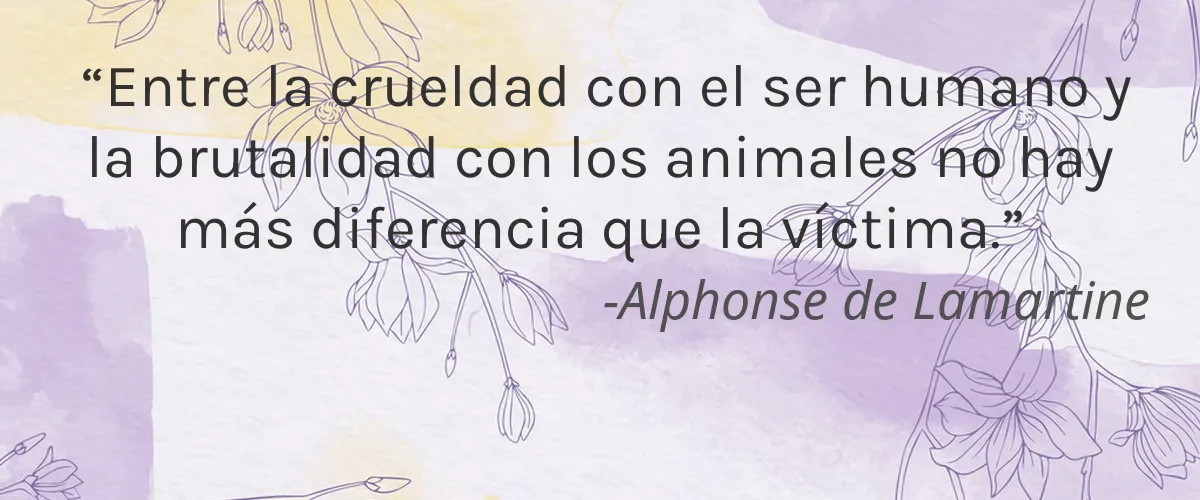 Bare English & Co. 4 Cruelty Free Bare English & Co. cita-Alphonse de Lamartine