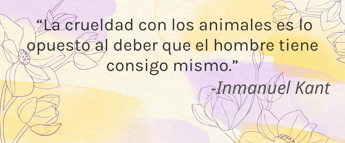 BareEarth 4 Cruelty Free BareEarth cita-Inmanuel Kant