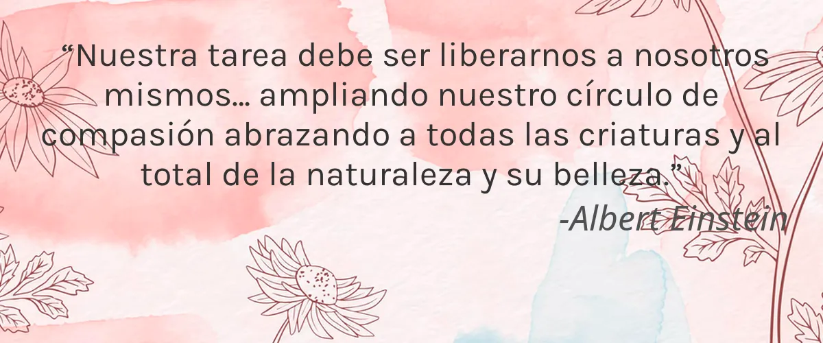 Barrier Body Wash 4 Cruelty Free Barrier Body Wash cita-Albert Einstein