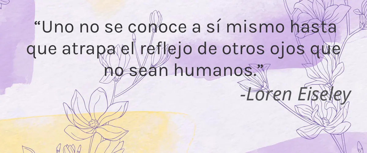 Baumebastic 4 Cruelty Free Baumebastic cita-Loren Eiseley