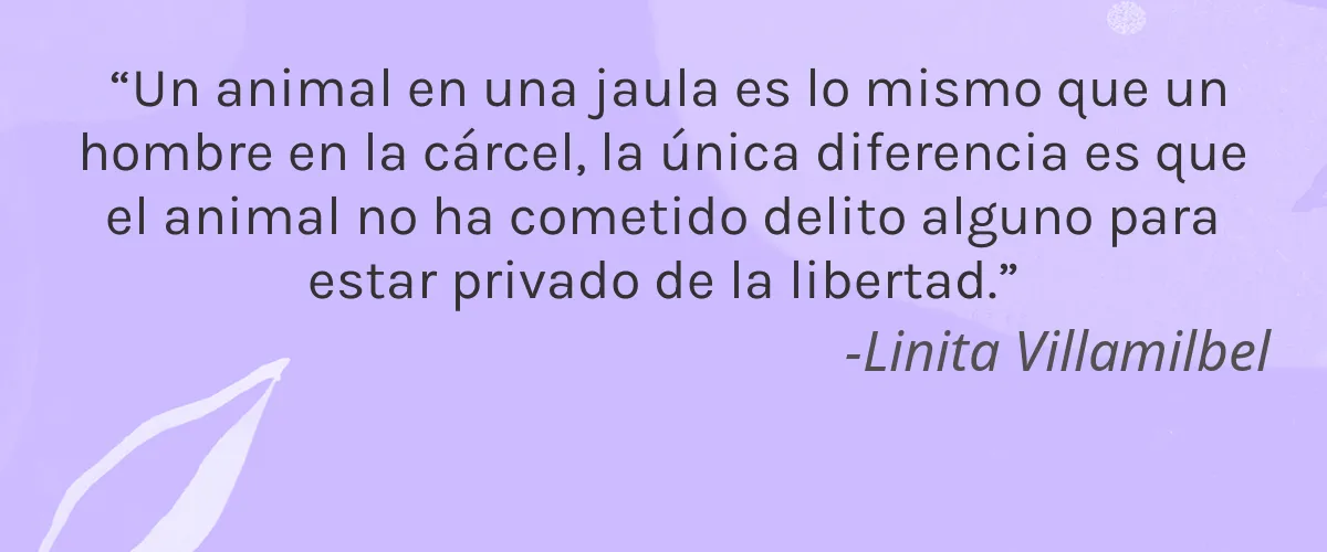 Be at One 4 Cruelty Free Be at One cita-Linita Villamilbel