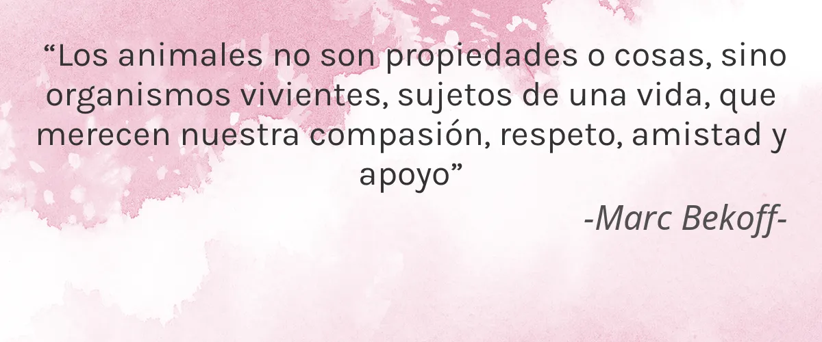 Be Natural Cosmetics 4 Cruelty Free Be Natural Cosmetics cita-Marc Bekoff-