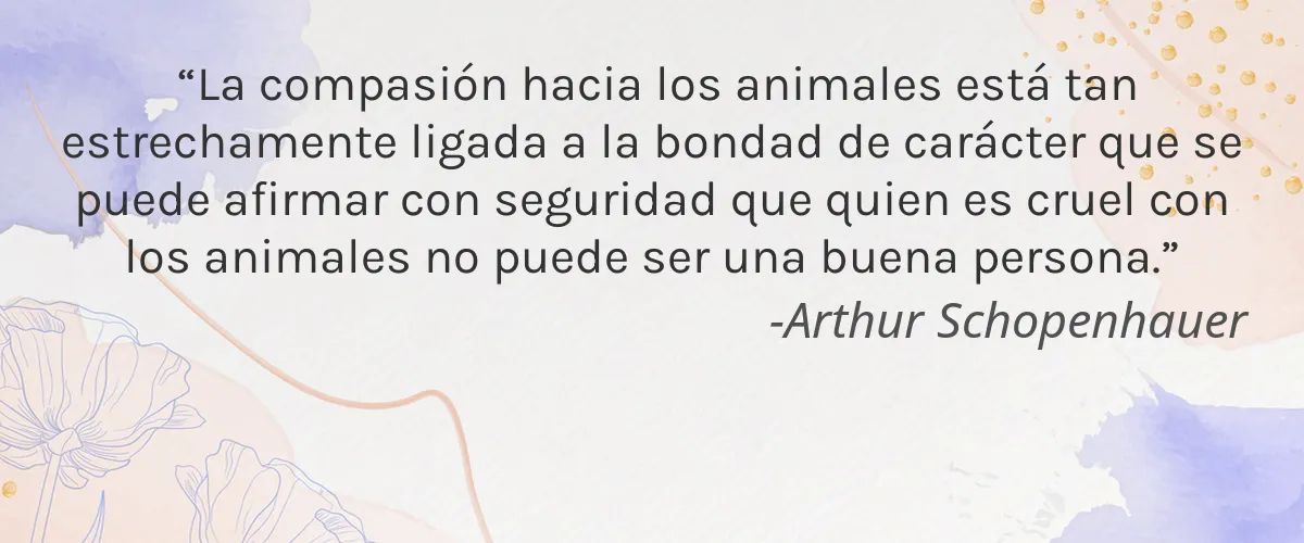 Cruelty Free Beany cita-Arthur Schopenhauer