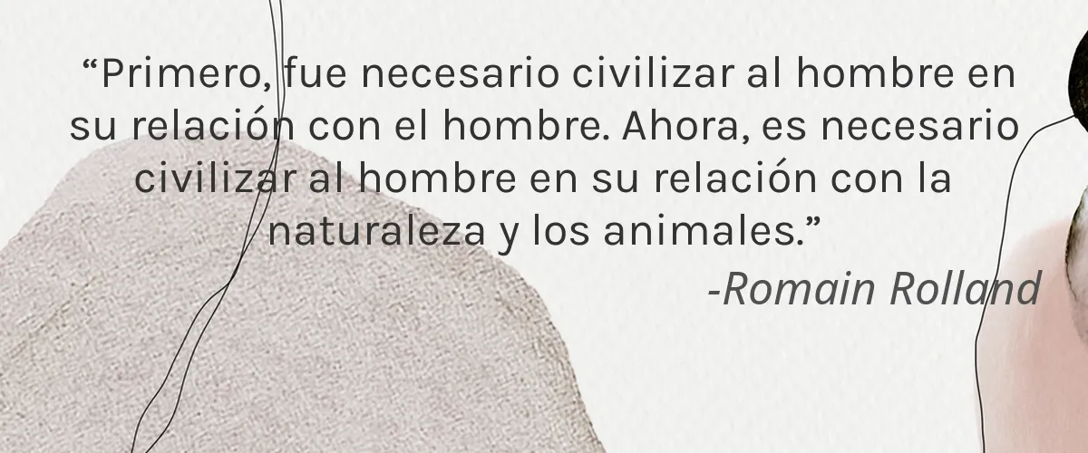 Beauty Without Cruelty 4 Cruelty Free Beauty Without Cruelty cita-Romain Rolland