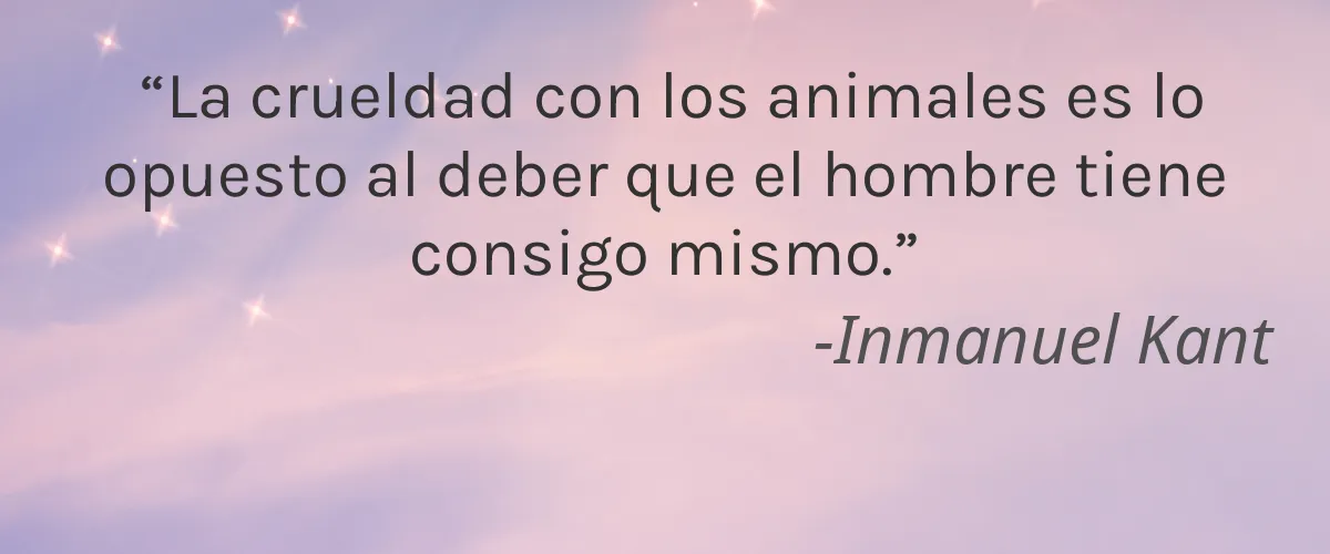 Bee Bella 4 Cruelty Free Bee Bella cita-Inmanuel Kant