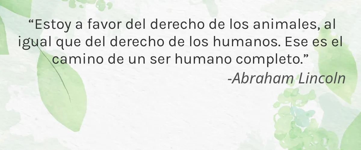 BEE GOOD 4 Cruelty Free BEE GOOD cita-Abraham Lincoln
