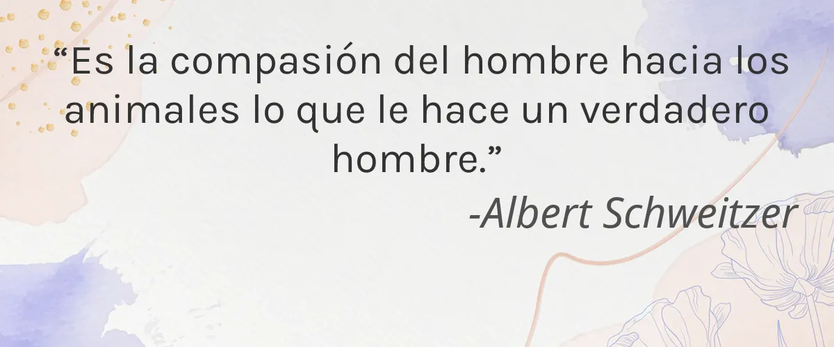 Bee Kinder 4 Cruelty Free Bee Kinder cita-Albert Schweitzer