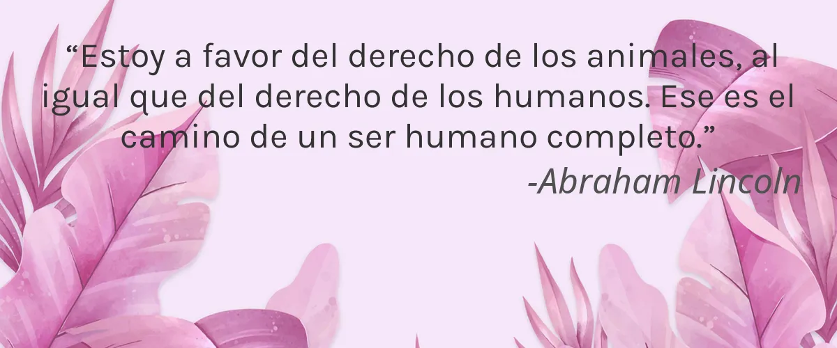 BEECAUSE 4 Cruelty Free BEECAUSE cita-Abraham Lincoln