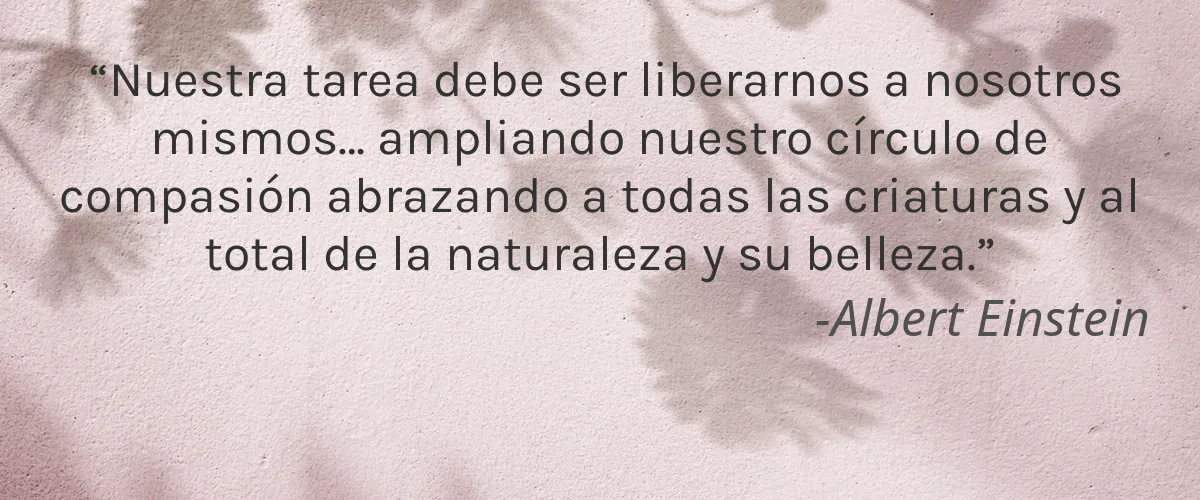 BeeKind 4 Cruelty Free BeeKind cita-Albert Einstein