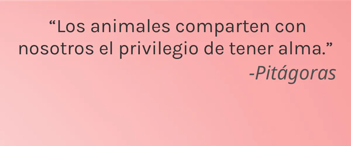Beekman 1802 4 Cruelty Free Beekman 1802 cita-Pitágoras