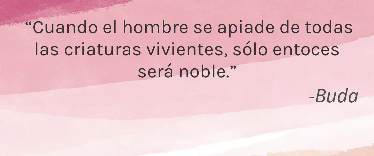 Bellamianta 4 Cruelty Free Bellamianta cita-Buda