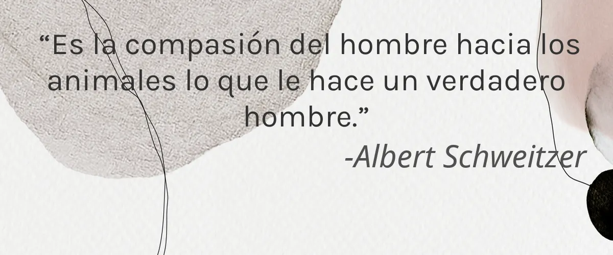Benevo 4 Cruelty Free Benevo cita-Albert Schweitzer